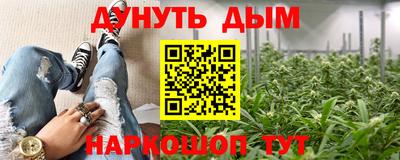 мет Дубна