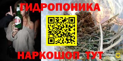 мет Дубна