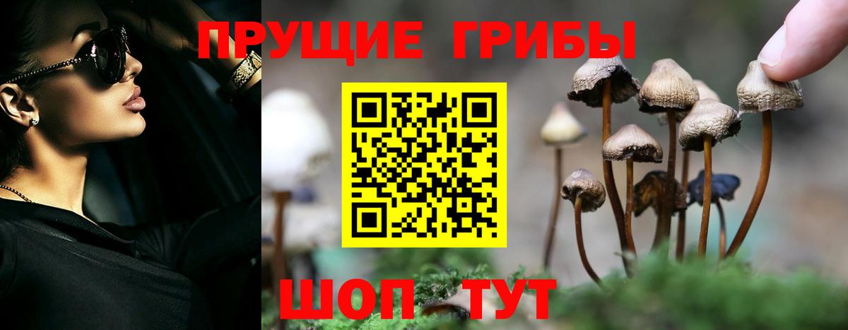 Лесозаводск  Псилоцибиновые грибы Psilocybe  Вход с VPN  Галлюциногенные грибы Magic Shrooms 